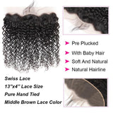 Curly Lace Frontal 13x4 pre Plucked Lace Frontal Human Virgin Hair - amellahair