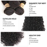 Water Wave 3 Bundles With Closure Brazilian Lace 4x4 Closure With Free Part - amellahair