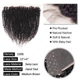 Kinky Curly Lace Frontal 13x4 Pre Plucked Lace Frontal Human Virgin Hair - amellahair